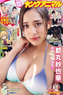 抗倭奇侠